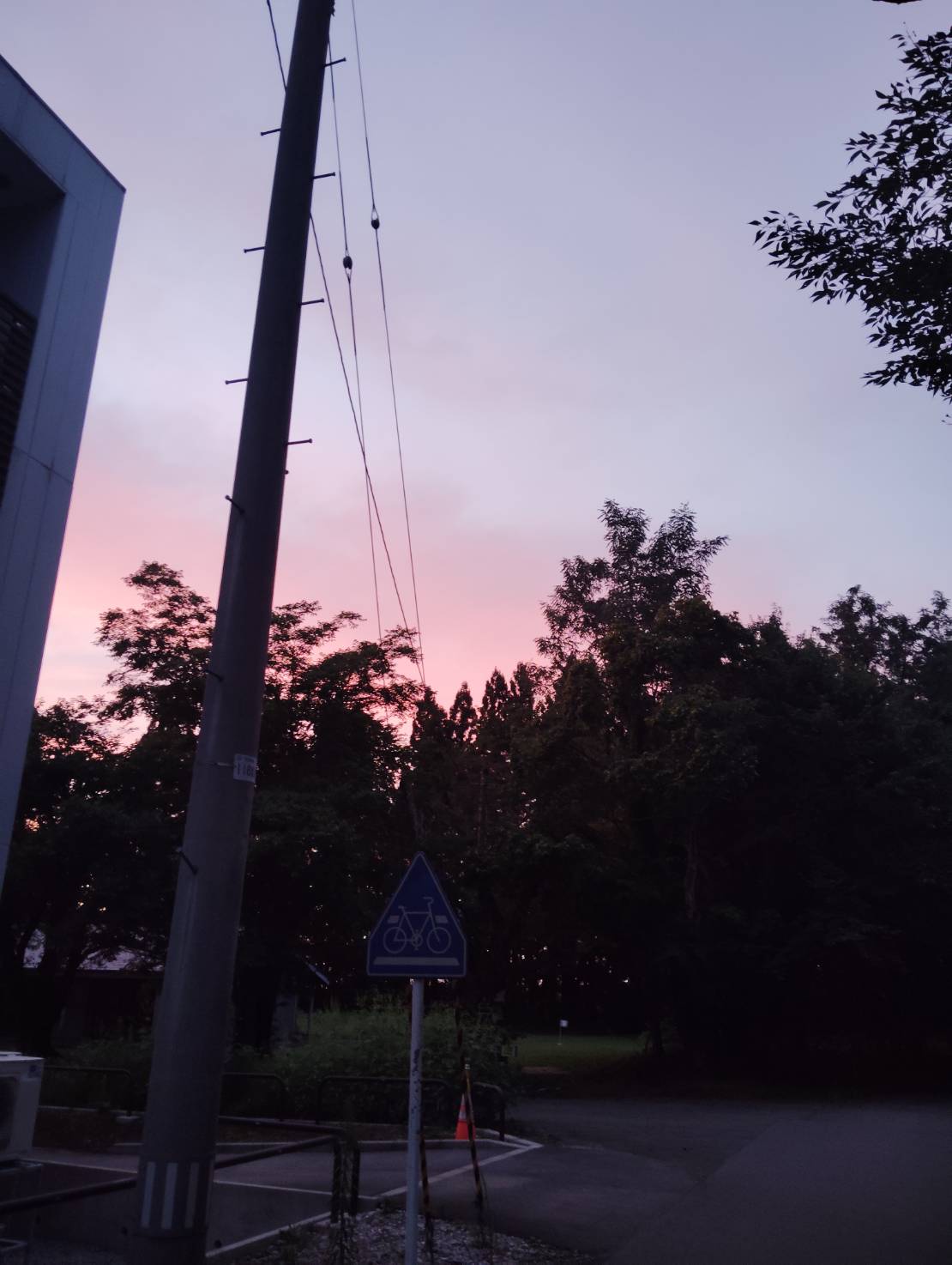 Pink evening sky above a bicycle crossing sign